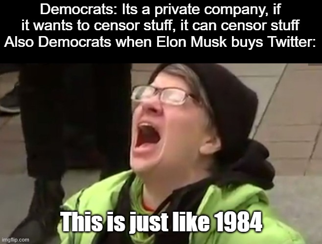 I don't see the problem with Musk buying Twitter, but when Musk says he wants to bring in free speech, dems get a meltdown | Democrats: Its a private company, if it wants to censor stuff, it can censor stuff
Also Democrats when Elon Musk buys Twitter:; This is just like 1984 | image tagged in screaming liberal | made w/ Imgflip meme maker