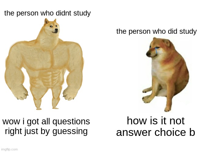 it do be real doe |  the person who didnt study; the person who did study; wow i got all questions right just by guessing; how is it not answer choice b | image tagged in memes,buff doge vs cheems | made w/ Imgflip meme maker