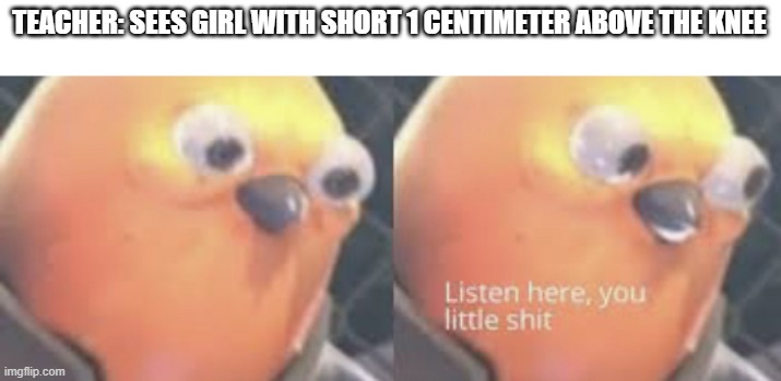 Listen here you little shit bird | TEACHER: SEES GIRL WITH SHORT 1 CENTIMETER ABOVE THE KNEE | image tagged in listen here you little shit bird | made w/ Imgflip meme maker