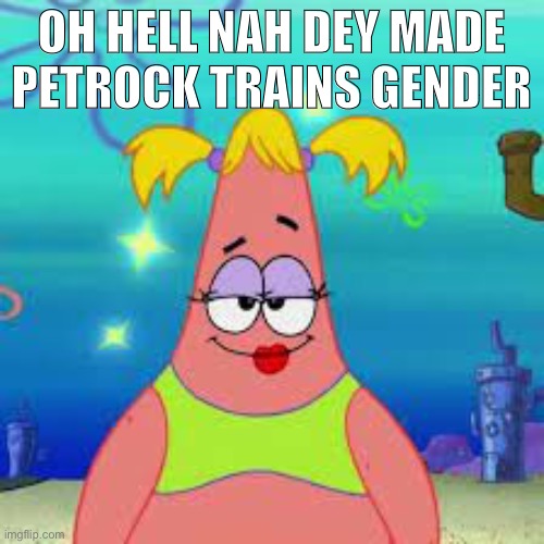 ehat the heck | OH HELL NAH DEY MADE PETROCK TRAINS GENDER | image tagged in spunch bop | made w/ Imgflip meme maker