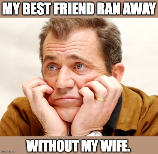 Damn! |  MY BEST FRIEND RAN AWAY; WITHOUT MY WIFE. | image tagged in disappointed | made w/ Imgflip meme maker