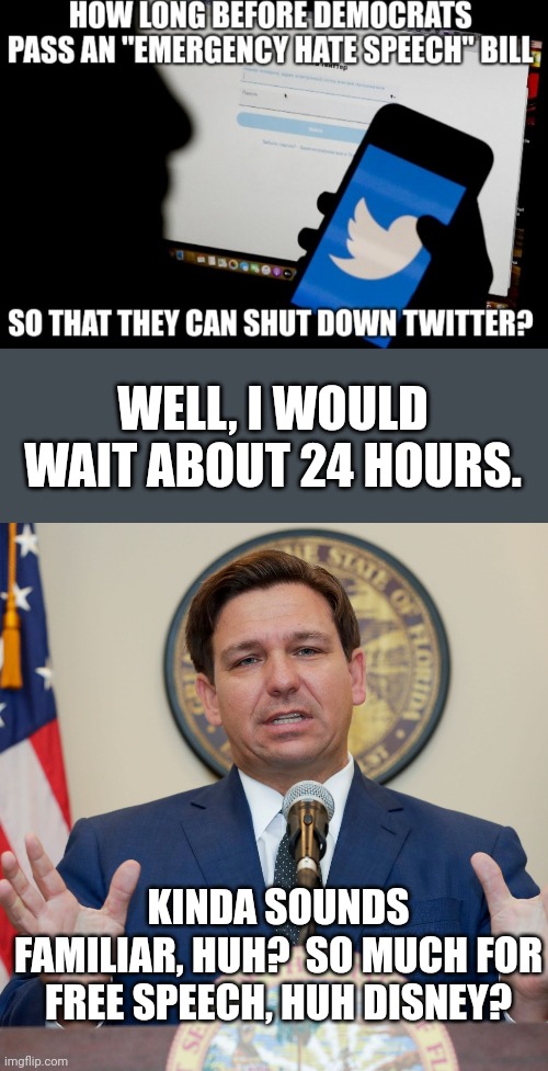 I thought you guys were advocates of free speech...what prompted the elimination of special districts? | WELL, I WOULD WAIT ABOUT 24 HOURS. KINDA SOUNDS FAMILIAR, HUH?  SO MUCH FOR FREE SPEECH, HUH DISNEY? | image tagged in desantis | made w/ Imgflip meme maker