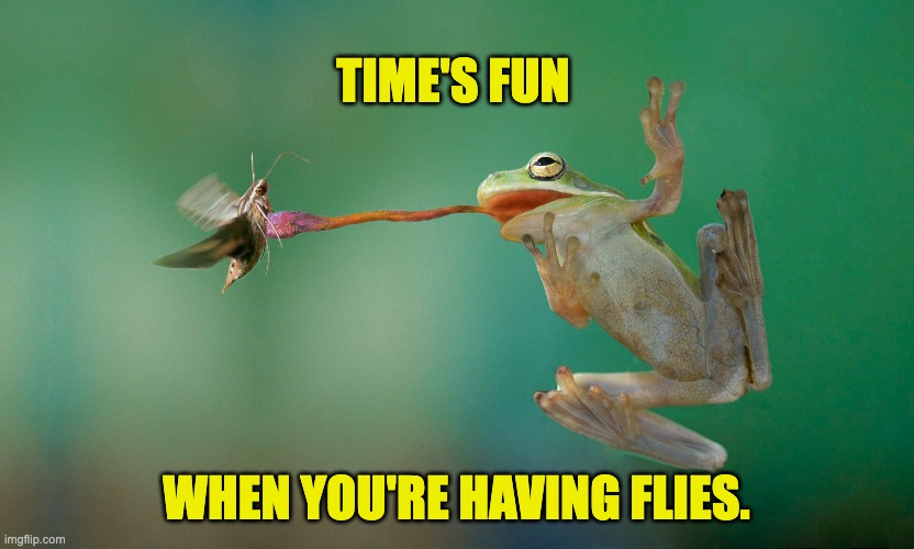 frog | TIME'S FUN; WHEN YOU'RE HAVING FLIES. | image tagged in bad pun | made w/ Imgflip meme maker
