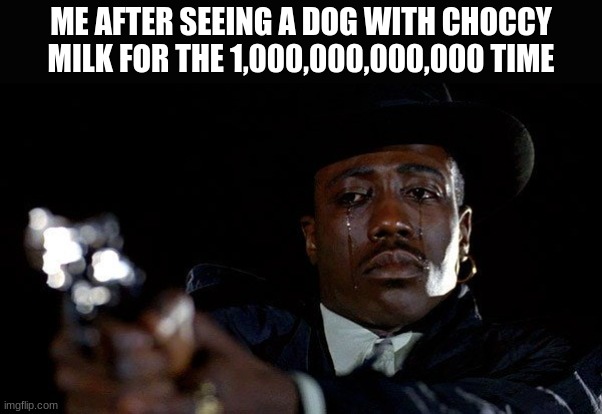 Crying man with gun |  ME AFTER SEEING A DOG WITH CHOCCY MILK FOR THE 1,000,000,000,000 TIME | image tagged in crying man with gun,kill yourself guy | made w/ Imgflip meme maker