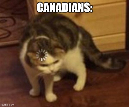 Loading cat | CANADIANS: | image tagged in loading cat | made w/ Imgflip meme maker