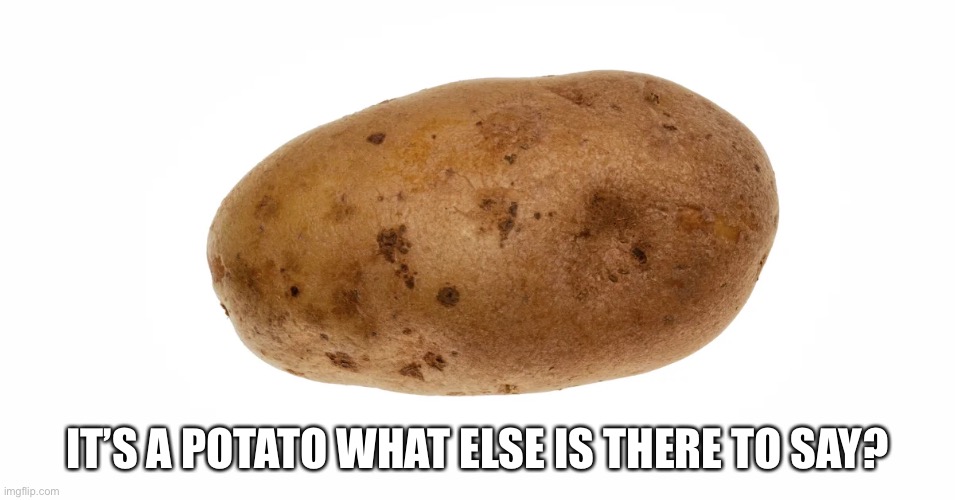 Potato | IT’S A POTATO WHAT ELSE IS THERE TO SAY? | image tagged in potato | made w/ Imgflip meme maker