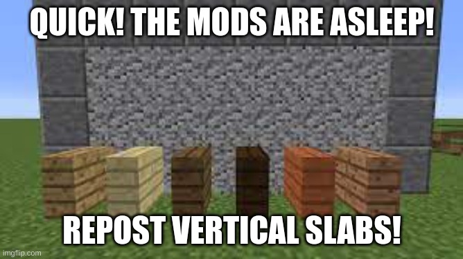 HURRY! | QUICK! THE MODS ARE ASLEEP! REPOST VERTICAL SLABS! | image tagged in minecraft | made w/ Imgflip meme maker