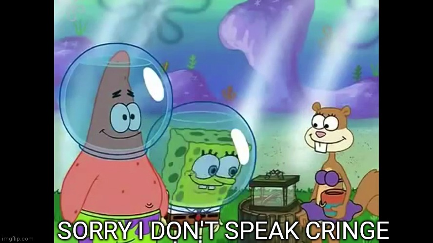 spongebob I don't speak | SORRY I DON'T SPEAK CRINGE | image tagged in spongebob i don't speak | made w/ Imgflip meme maker