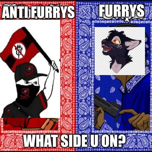 Blood and Crip | FURRYS; ANTI FURRYS; WHAT SIDE U ON? | image tagged in blood and crip | made w/ Imgflip meme maker