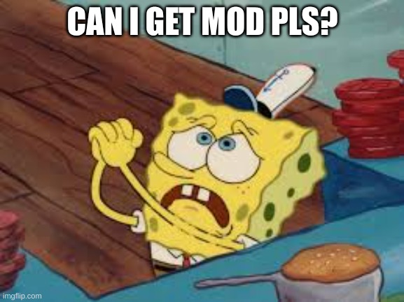 Can I pls get mod? Only if you h8 minecraft | CAN I GET MOD PLS? | image tagged in spongebob pleading | made w/ Imgflip meme maker