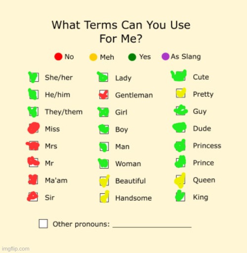 Pronouns Sheet | image tagged in pronouns sheet | made w/ Imgflip meme maker