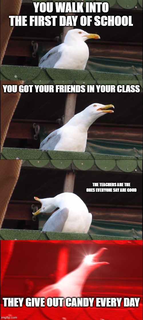 Inhaling Seagull Meme | YOU WALK INTO THE FIRST DAY OF SCHOOL; YOU GOT YOUR FRIENDS IN YOUR CLASS; THE TEACHERS ARE THE ONES EVERYONE SAY ARE GOOD; THEY GIVE OUT CANDY EVERY DAY | image tagged in memes,inhaling seagull | made w/ Imgflip meme maker