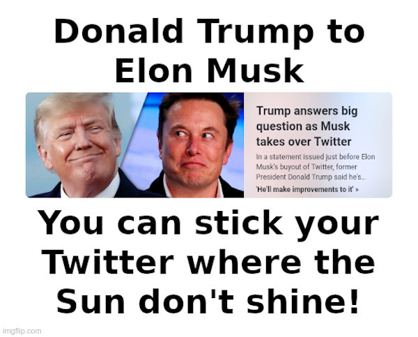 Donald Trump to Elon Musk﻿ | image tagged in donald trump,elon musk,twitter,say that again and ill shove this ruler where the sun dont shine,freedom of speech,censorship | made w/ Imgflip meme maker