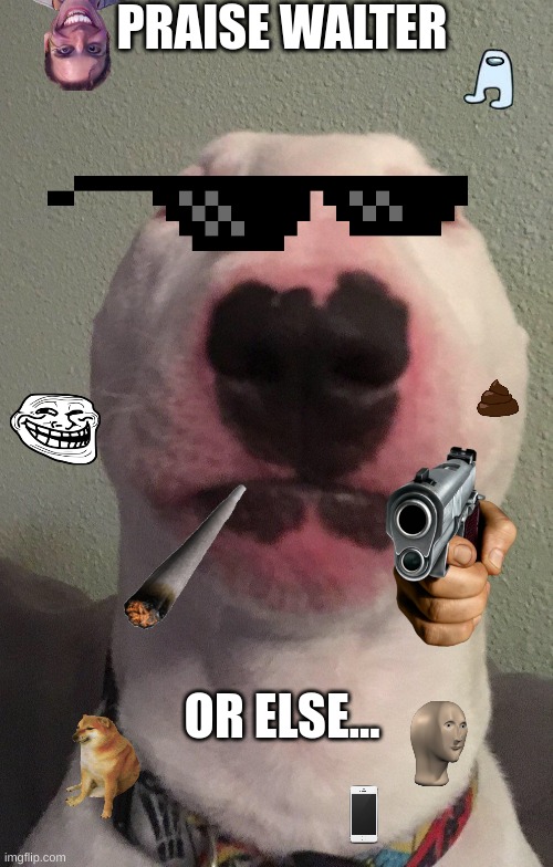 Walter | PRAISE WALTER; OR ELSE... | image tagged in walter | made w/ Imgflip meme maker