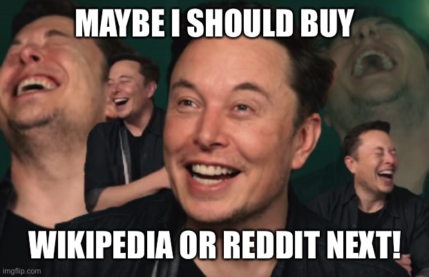 Oh you musk, you musk! | MAYBE I SHOULD BUY; WIKIPEDIA OR REDDIT NEXT! | image tagged in elon musk laughing,Conservative | made w/ Imgflip meme maker
