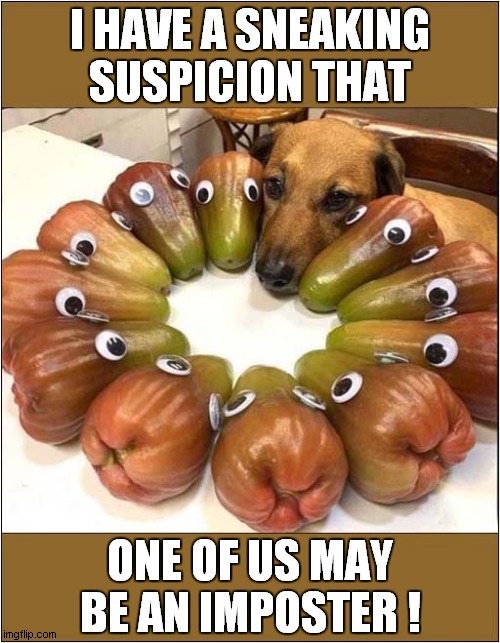 One Very Concerned Dog ! | I HAVE A SNEAKING SUSPICION THAT; ONE OF US MAY BE AN IMPOSTER ! | image tagged in dogs,suspicious,imposter | made w/ Imgflip meme maker