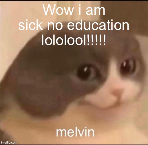 melvin | Wow i am sick no education lololool!!!!! | image tagged in melvin | made w/ Imgflip meme maker