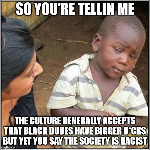 That's a big take. no pun intended.... | SO YOU'RE TELLIN ME; THE CULTURE GENERALLY ACCEPTS THAT BLACK DUDES HAVE BIGGER D*CKS BUT YET YOU SAY THE SOCIETY IS RACIST | image tagged in so you're tellin' me,dick jokes,racism,roll safe think about it,yeah i made this anonymously fck | made w/ Imgflip meme maker