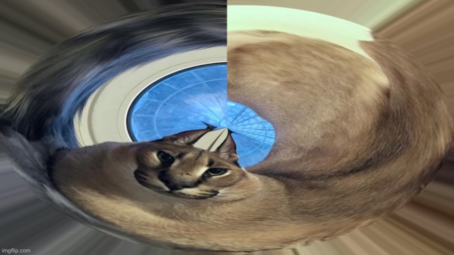 360 floppa | image tagged in 360 floppa | made w/ Imgflip meme maker