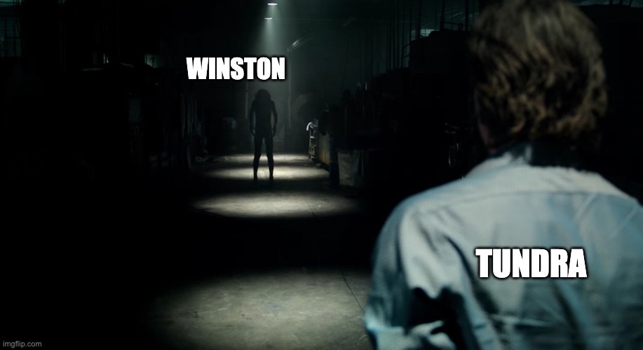 yes. | WINSTON; TUNDRA | image tagged in scary hallway | made w/ Imgflip meme maker