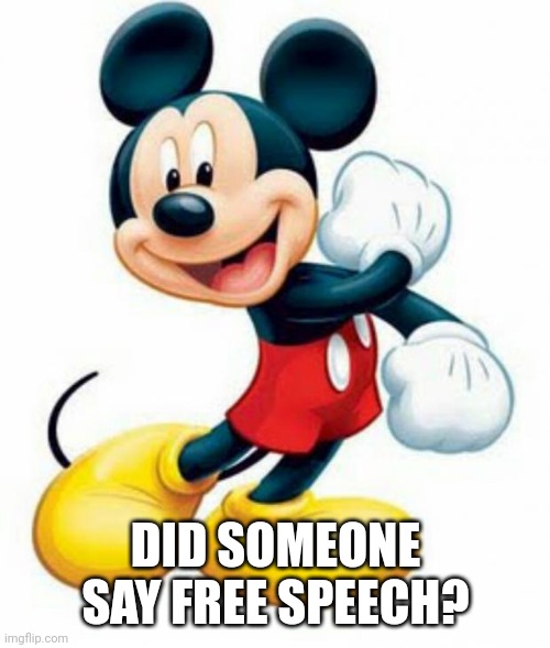 mickey mouse  | DID SOMEONE SAY FREE SPEECH? | image tagged in mickey mouse | made w/ Imgflip meme maker