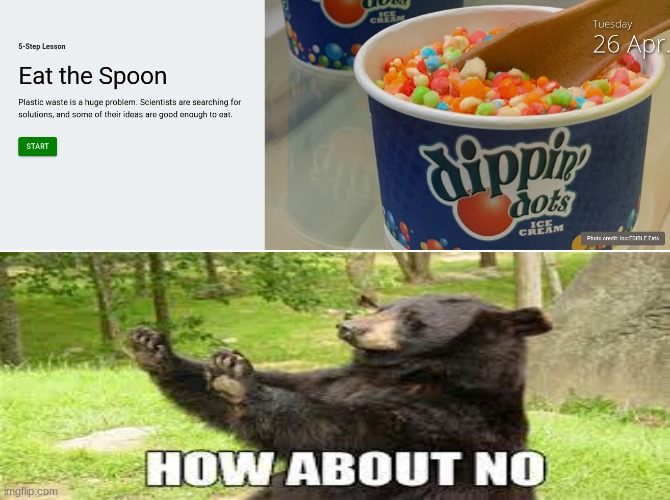 image tagged in funny animal meme,how about no bear | made w/ Imgflip meme maker