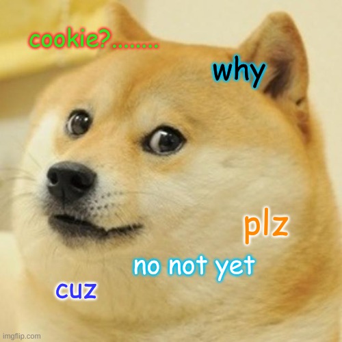 Doge Meme | cookie?........ why; plz; no not yet; cuz | image tagged in memes,doge | made w/ Imgflip meme maker