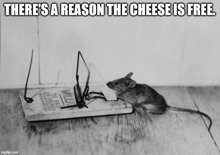 mouse traped | THERE'S A REASON THE CHEESE IS FREE. | image tagged in mouse traped | made w/ Imgflip meme maker