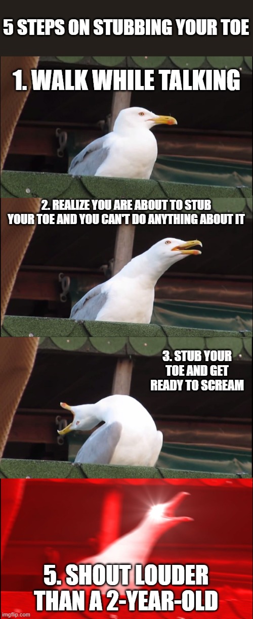 Inhaling Seagull | 5 STEPS ON STUBBING YOUR TOE; 1. WALK WHILE TALKING; 2. REALIZE YOU ARE ABOUT TO STUB YOUR TOE AND YOU CAN'T DO ANYTHING ABOUT IT; 3. STUB YOUR TOE AND GET READY TO SCREAM; 5. SHOUT LOUDER THAN A 2-YEAR-OLD | image tagged in memes,inhaling seagull | made w/ Imgflip meme maker