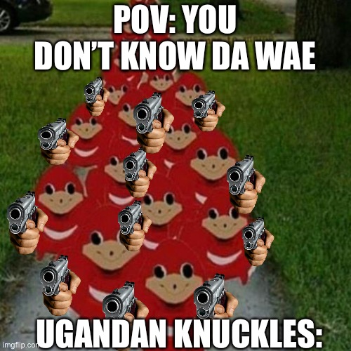Da wae | POV: YOU DON’T KNOW DA WAE; UGANDAN KNUCKLES: | image tagged in ugandan knuckles army | made w/ Imgflip meme maker
