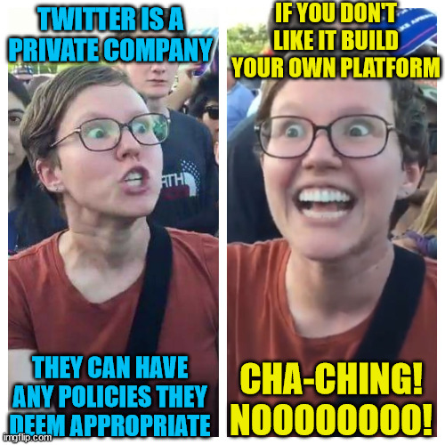 Twatter Sold |  IF YOU DON'T LIKE IT BUILD YOUR OWN PLATFORM; TWITTER IS A PRIVATE COMPANY; CHA-CHING! NOOOOOOOO! THEY CAN HAVE ANY POLICIES THEY DEEM APPROPRIATE | image tagged in twatter,sold | made w/ Imgflip meme maker