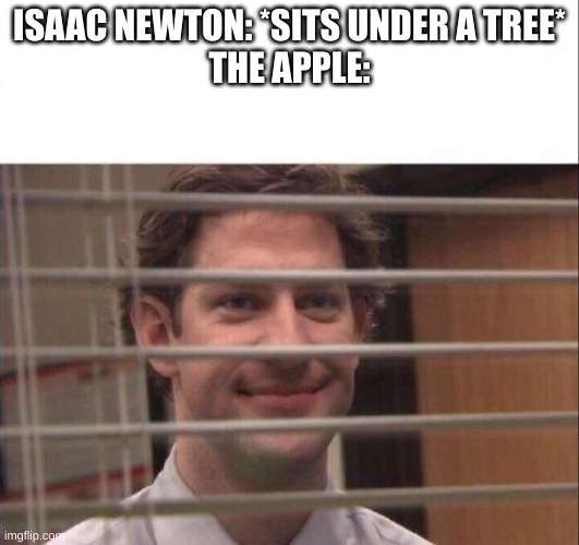 Jim Halpert | ISAAC NEWTON: *SITS UNDER A TREE*
THE APPLE: | image tagged in jim halpert | made w/ Imgflip meme maker