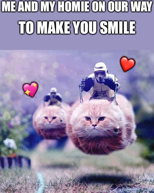 Vroooom | ME AND MY HOMIE ON OUR WAY; TO MAKE YOU SMILE; ❤️; 💖 | image tagged in storm trooper cats,wholesome | made w/ Imgflip meme maker