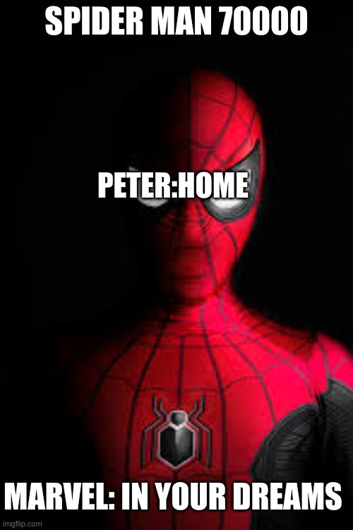 never ever happening | SPIDER MAN 70000; PETER:HOME; MARVEL: IN YOUR DREAMS | image tagged in spider man | made w/ Imgflip meme maker