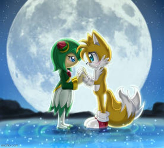 Tailsmo | image tagged in sonic x,tails the fox,cosmo the seedrian,tailsmo | made w/ Imgflip meme maker