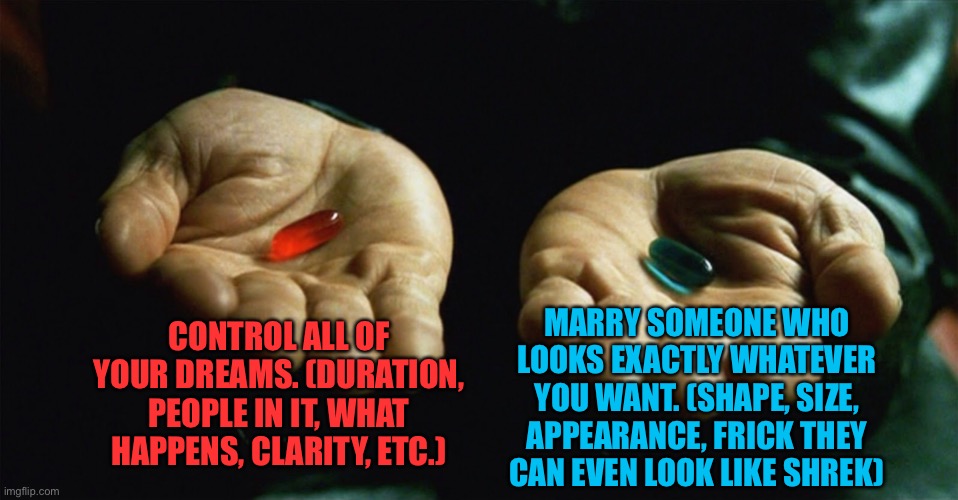 Pick one | CONTROL ALL OF YOUR DREAMS. (DURATION, PEOPLE IN IT, WHAT HAPPENS, CLARITY, ETC.); MARRY SOMEONE WHO LOOKS EXACTLY WHATEVER YOU WANT. (SHAPE, SIZE, APPEARANCE, FRICK THEY CAN EVEN LOOK LIKE SHREK) | image tagged in red pill blue pill | made w/ Imgflip meme maker