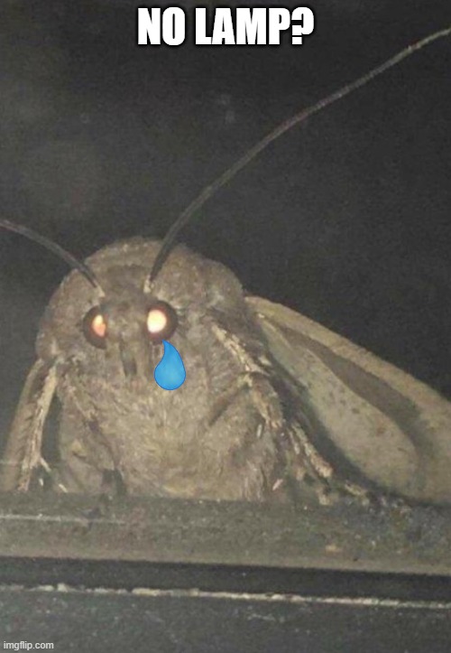 Moth | NO LAMP? | image tagged in moth | made w/ Imgflip meme maker
