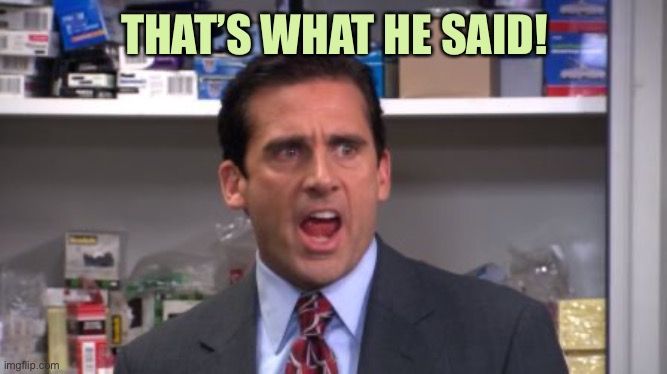 the office bankruptcy | THAT’S WHAT HE SAID! | image tagged in the office bankruptcy | made w/ Imgflip meme maker