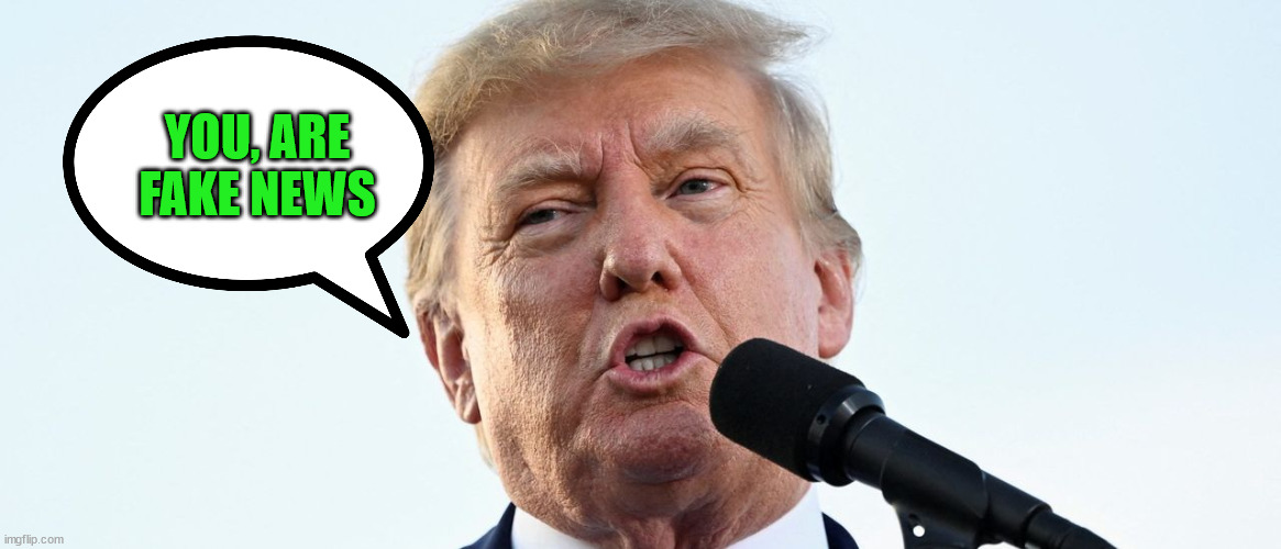 YOU, ARE FAKE NEWS | made w/ Imgflip meme maker