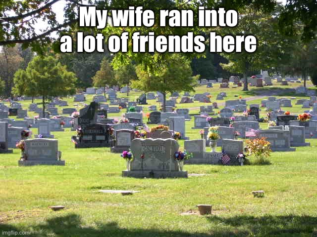 cemetery | My wife ran into a lot of friends here | image tagged in cemetery | made w/ Imgflip meme maker