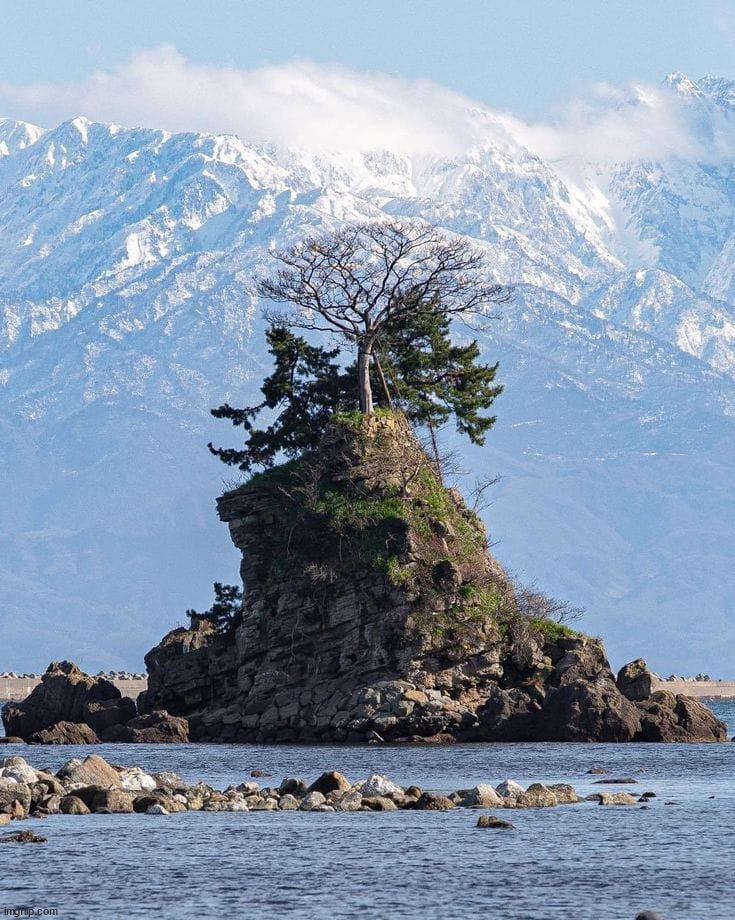 Toyama Japan? | image tagged in awesome | made w/ Imgflip meme maker