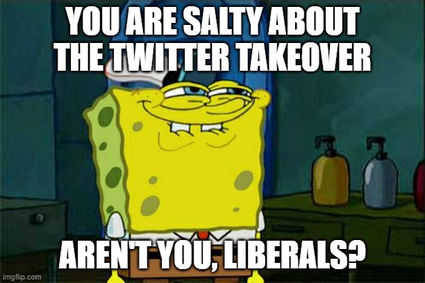 The liberals here are foaming and crying over the Twitter takeover | YOU ARE SALTY ABOUT THE TWITTER TAKEOVER; AREN'T YOU, LIBERALS? | image tagged in memes,don't you squidward | made w/ Imgflip meme maker
