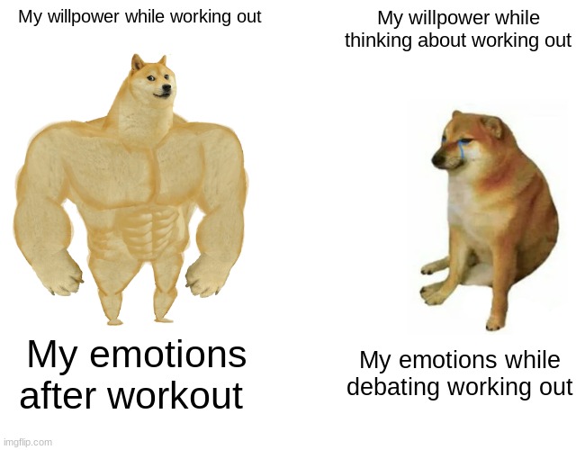 Buff Doge vs. Cheems Meme | My willpower while working out; My willpower while thinking about working out; My emotions after workout; My emotions while debating working out | image tagged in memes,buff doge vs cheems | made w/ Imgflip meme maker