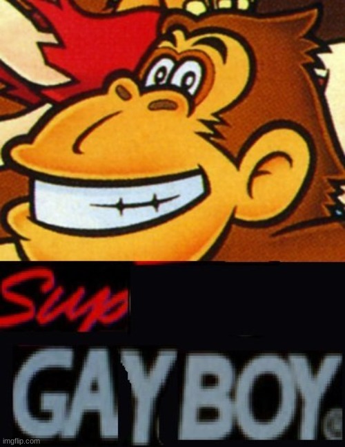 Sup Gay Boy | image tagged in sup gay boy | made w/ Imgflip meme maker