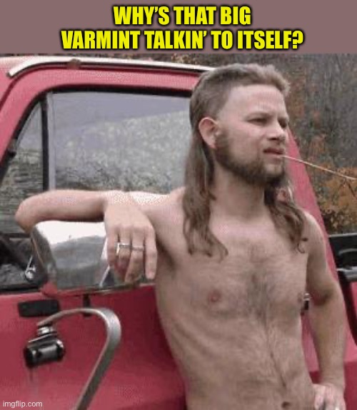 almost redneck | WHY’S THAT BIG VARMINT TALKIN’ TO ITSELF? | image tagged in almost redneck | made w/ Imgflip meme maker