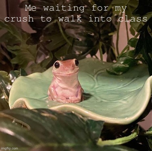 Yup | Me waiting for my crush to walk into class | image tagged in crush,frog,cute | made w/ Imgflip meme maker