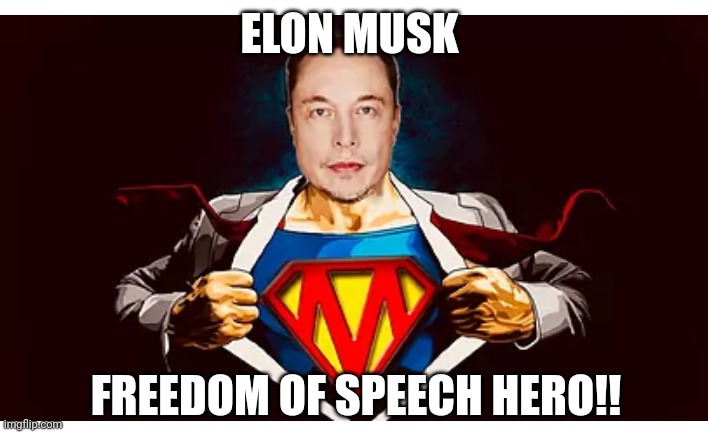 Freedom of Speech Hero | ELON MUSK; FREEDOM OF SPEECH HERO!! | image tagged in elon musk | made w/ Imgflip meme maker