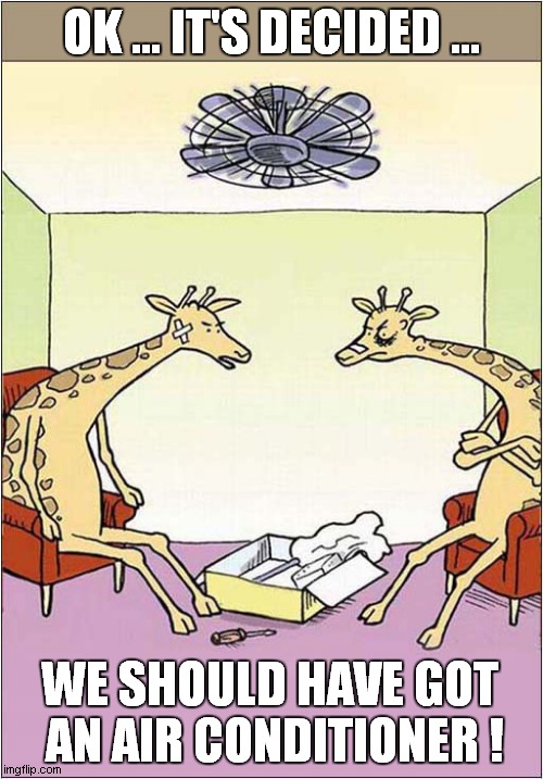 Learning The Hard Way ! | OK ... IT'S DECIDED ... WE SHOULD HAVE GOT
 AN AIR CONDITIONER ! | image tagged in giraffe,cartoon,air conditioner | made w/ Imgflip meme maker