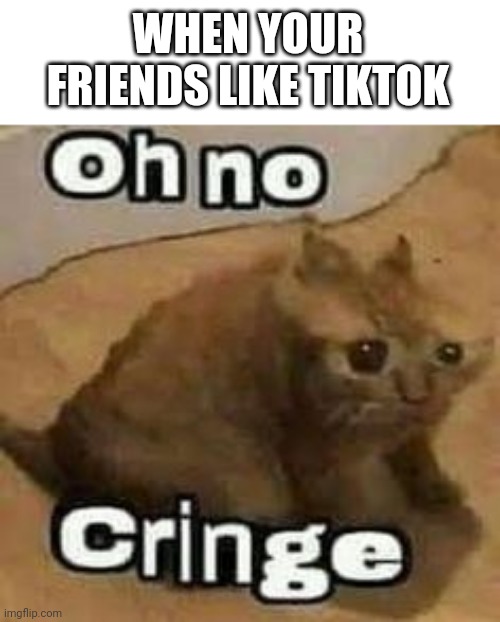 oH nO cRInGe | WHEN YOUR FRIENDS LIKE TIKTOK | image tagged in oh no cringe | made w/ Imgflip meme maker