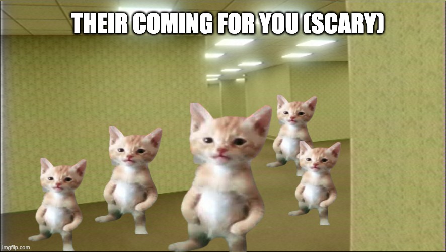 THEIR COMING FOR YOU (SCARY) | image tagged in memes | made w/ Imgflip meme maker